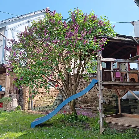 Eifler Brunnenhaus بيت للعطل Dumpelfeld